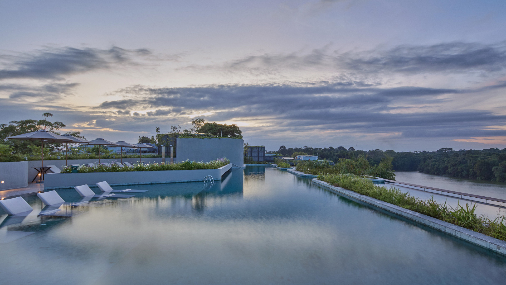 Mandai Rainforest Resort by Banyan Tree Rooftop Pool